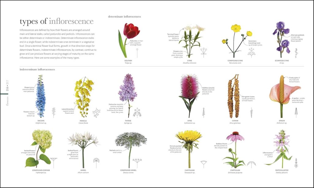 libros de flores floristas