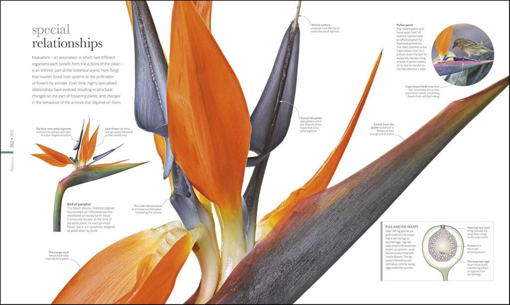 libros de flores floristas