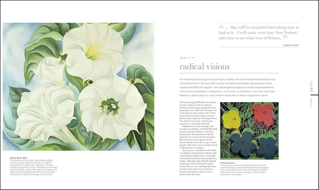 libros de flores floristas