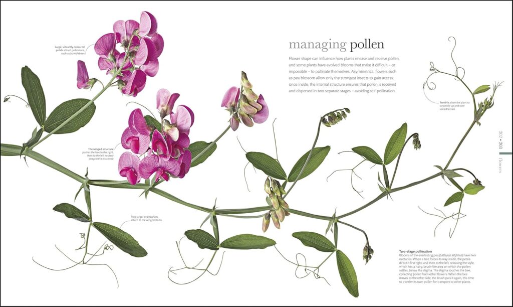 libros de flores floristas