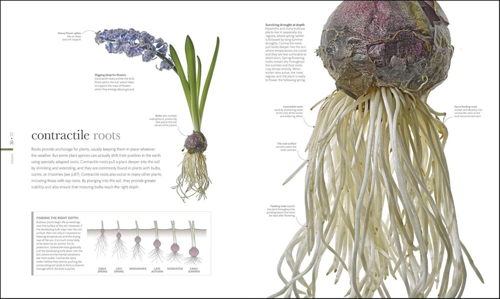libros de flores floristas