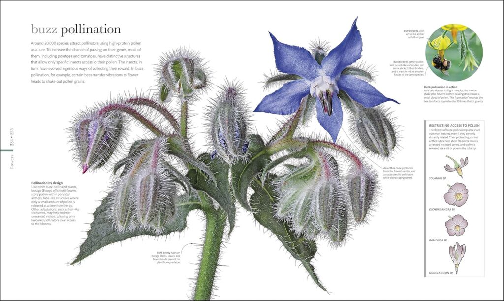 libros de flores floristas