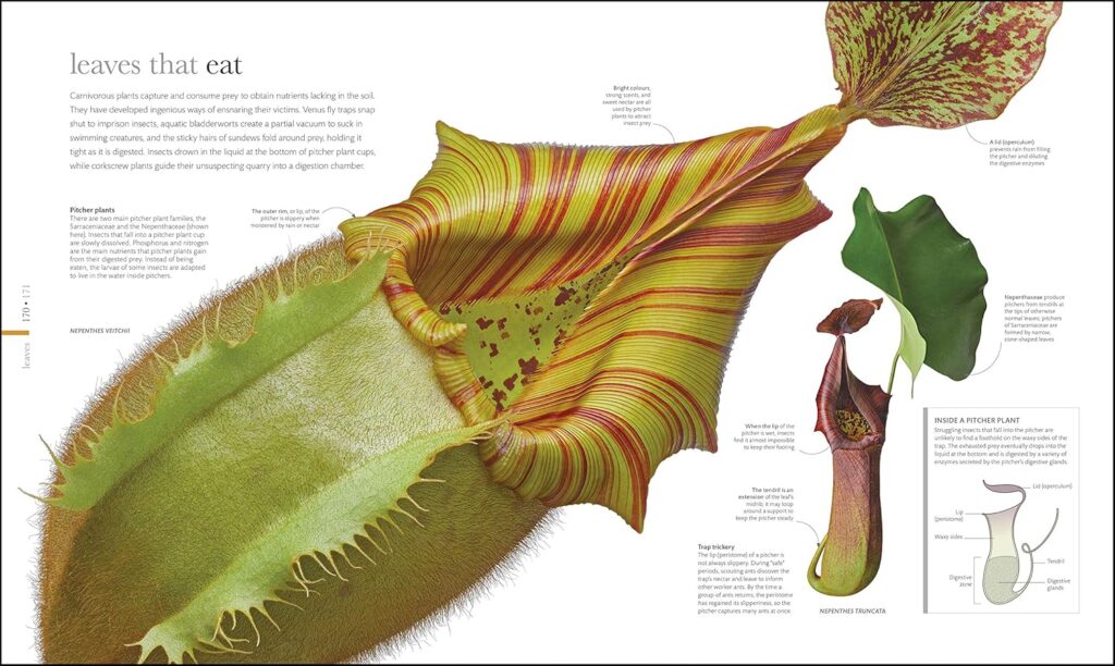 libros de flores floristas