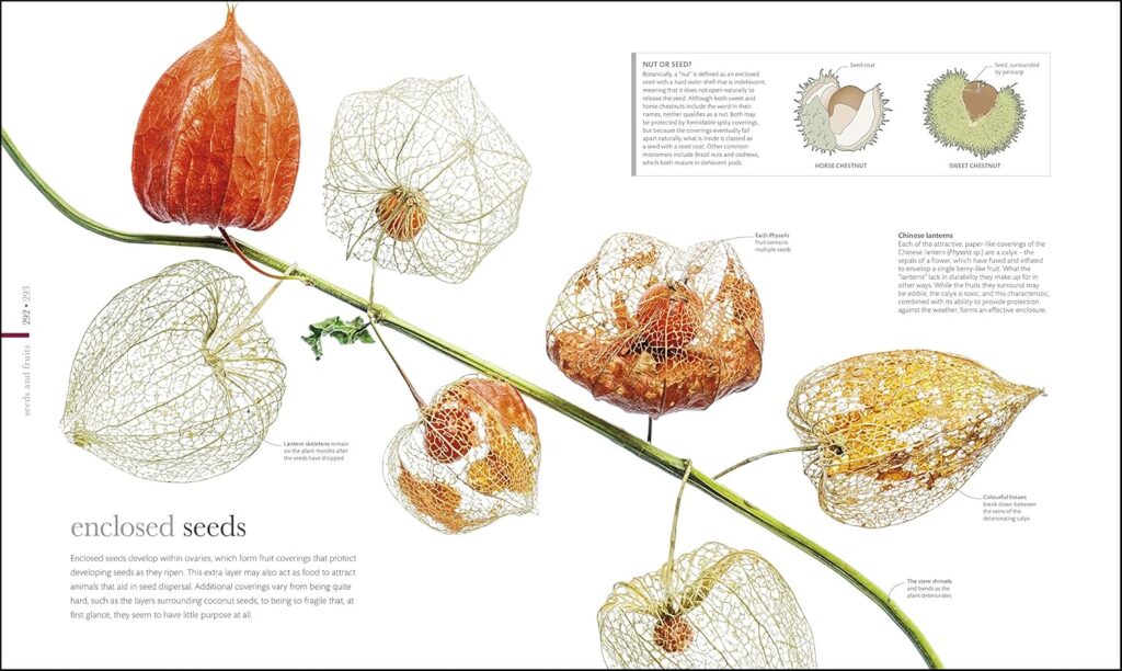 libros de flores floristas