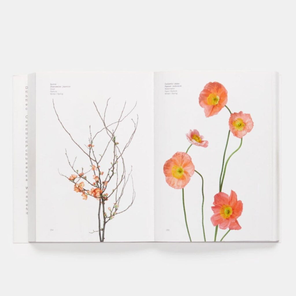 libros de flores floristas