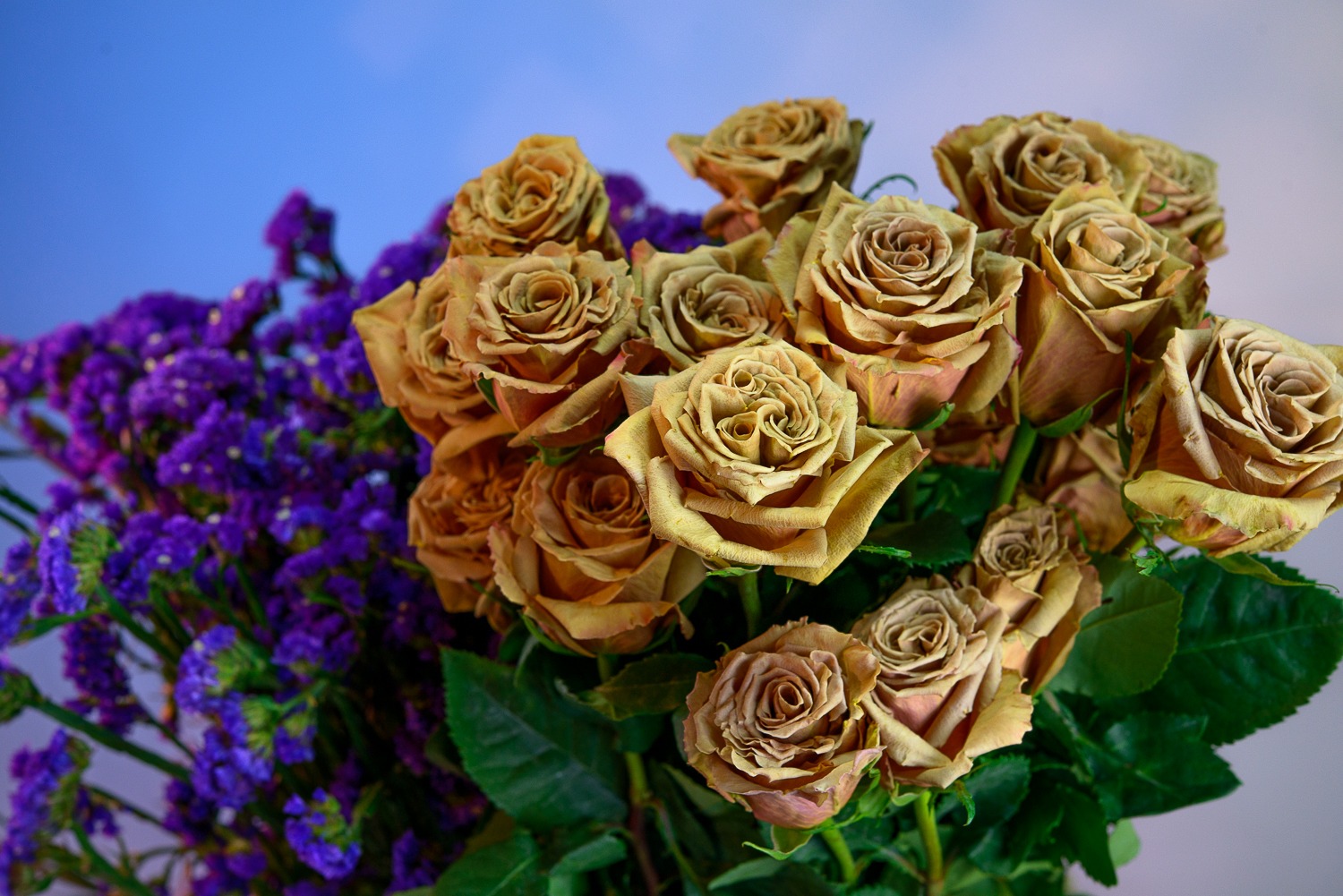 cómo elegir flores guía para florista
