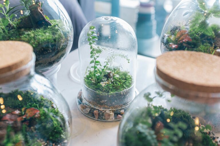 mantenimiento terrario