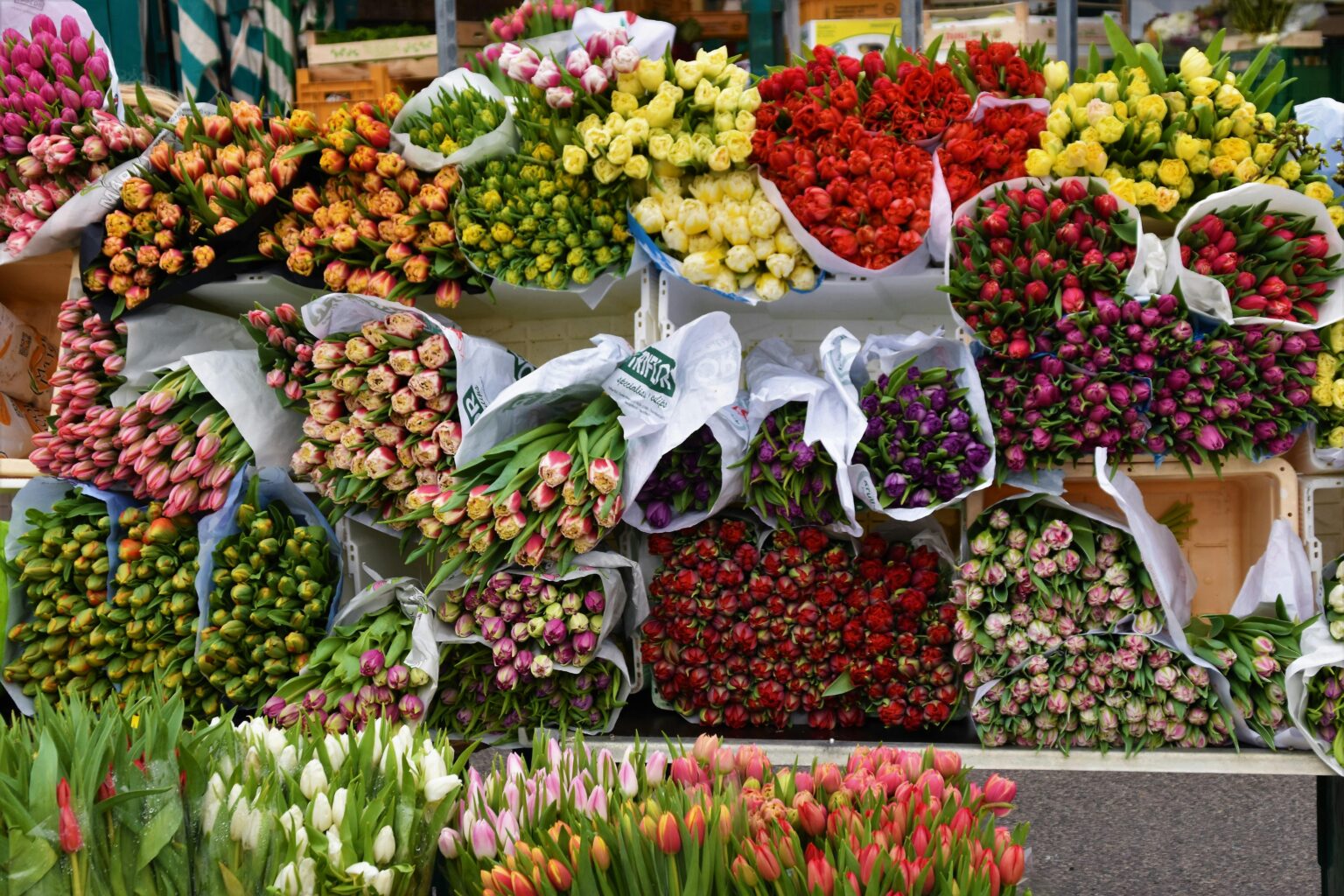 secretos de floristas