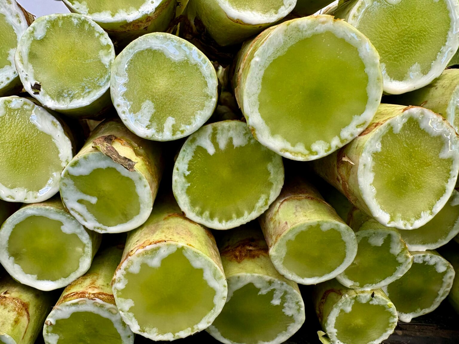 como preparar flores