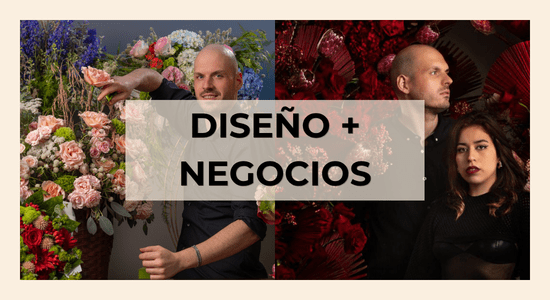 ABC + Masterclass de negocios