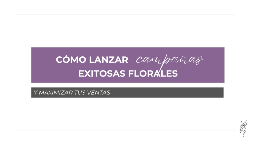 Cómo lanzar campañas